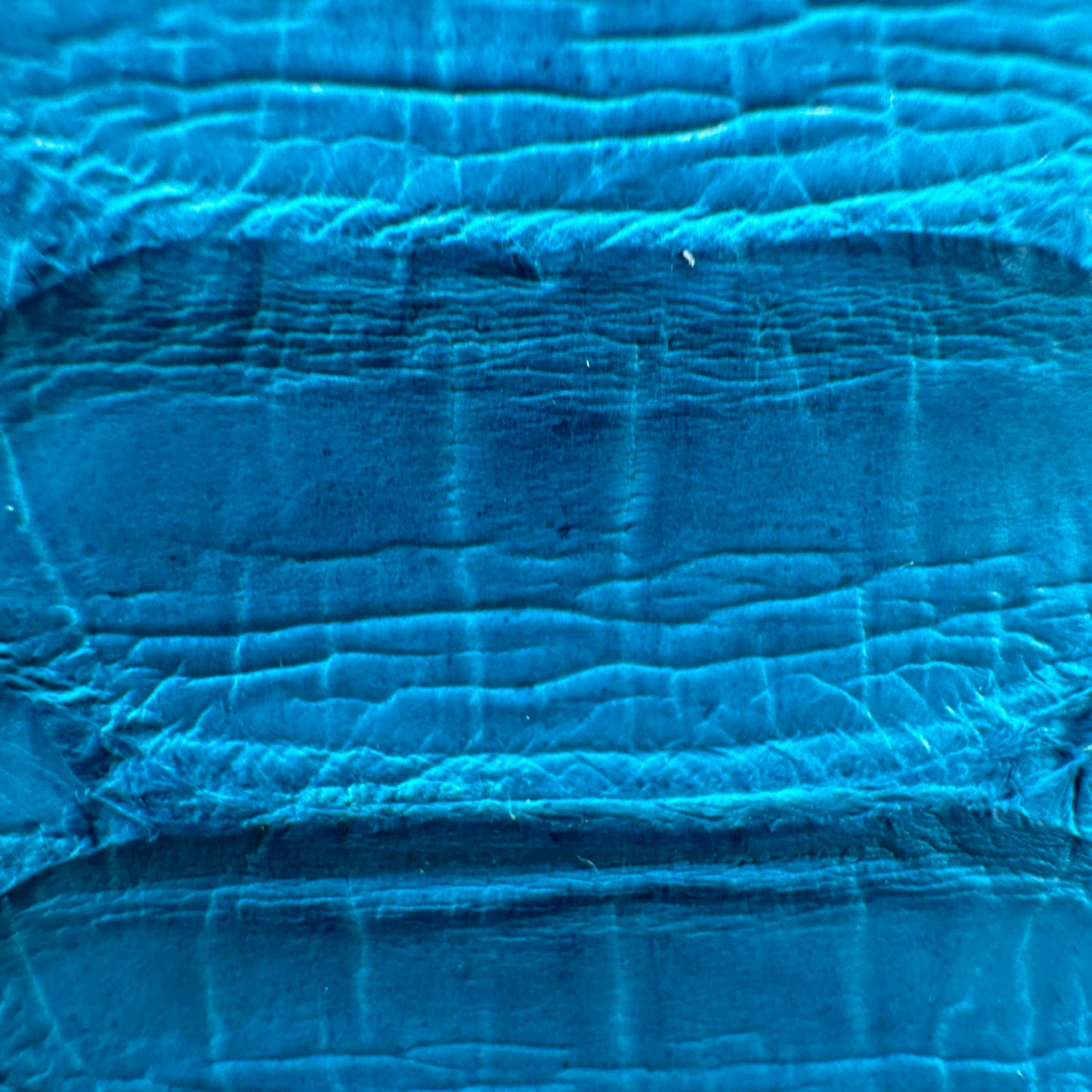 444 ‘Vantablue’ Real Python Skin Bifold Wallet