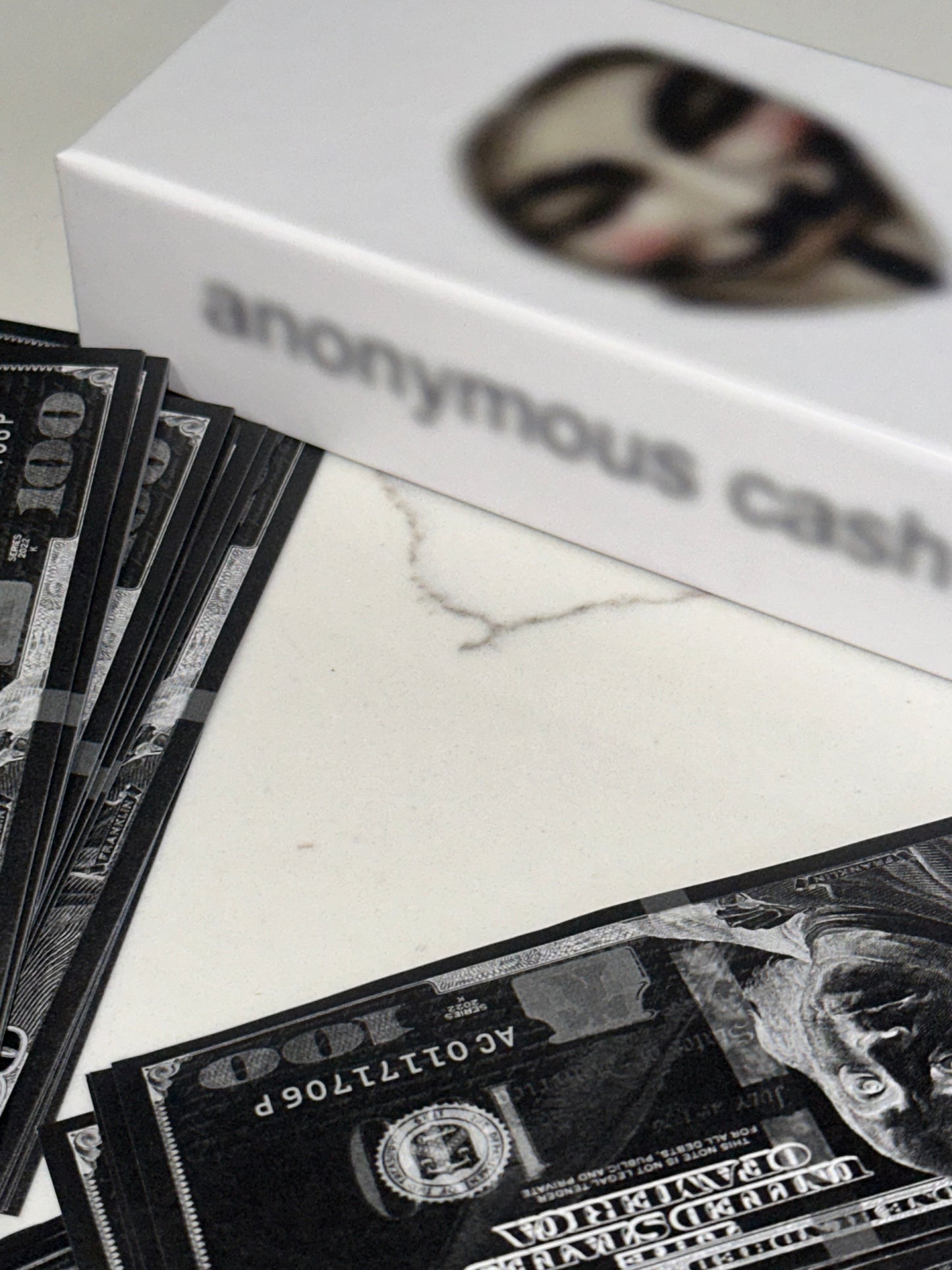 Anonymous Cash Art / Decor Piece