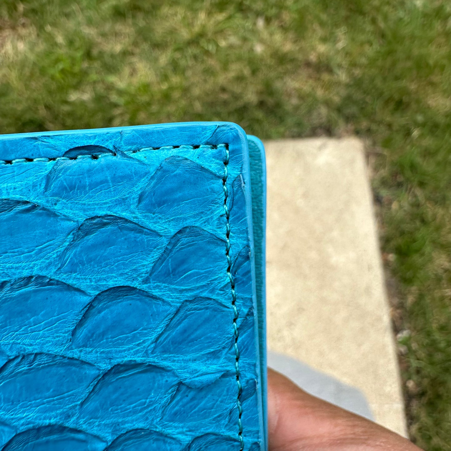 444 ‘Vantablue’ Real Python Skin Bifold Wallet