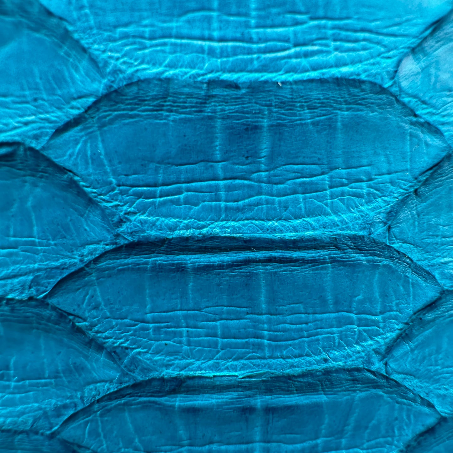 444 ‘Vantablue’ Real Python Skin Bifold Wallet